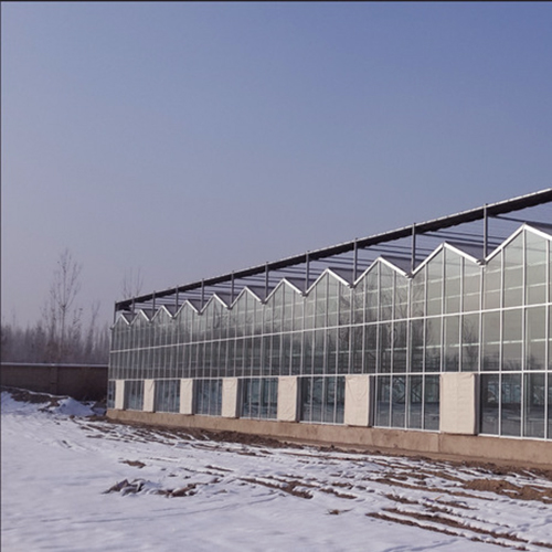 上海玻璃温室大棚造价