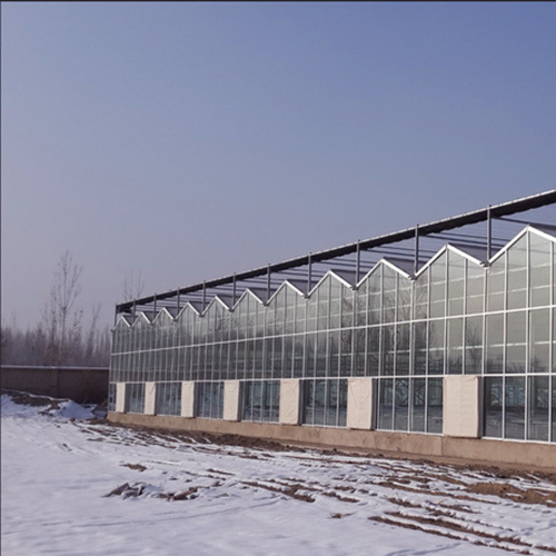 常州文洛式玻璃温室