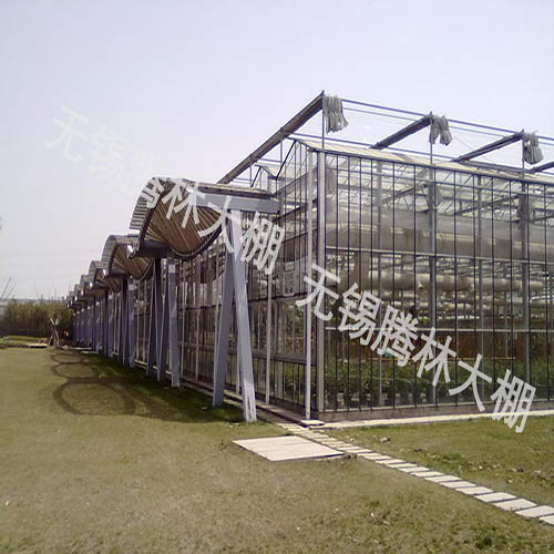 安徽文洛式玻璃温室
