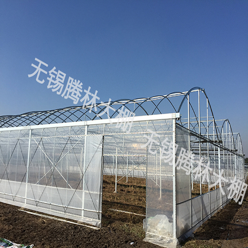 陵水黎族自治县文洛式玻璃温室