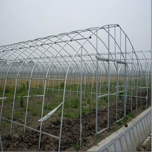 黔东南大棚草莓养殖